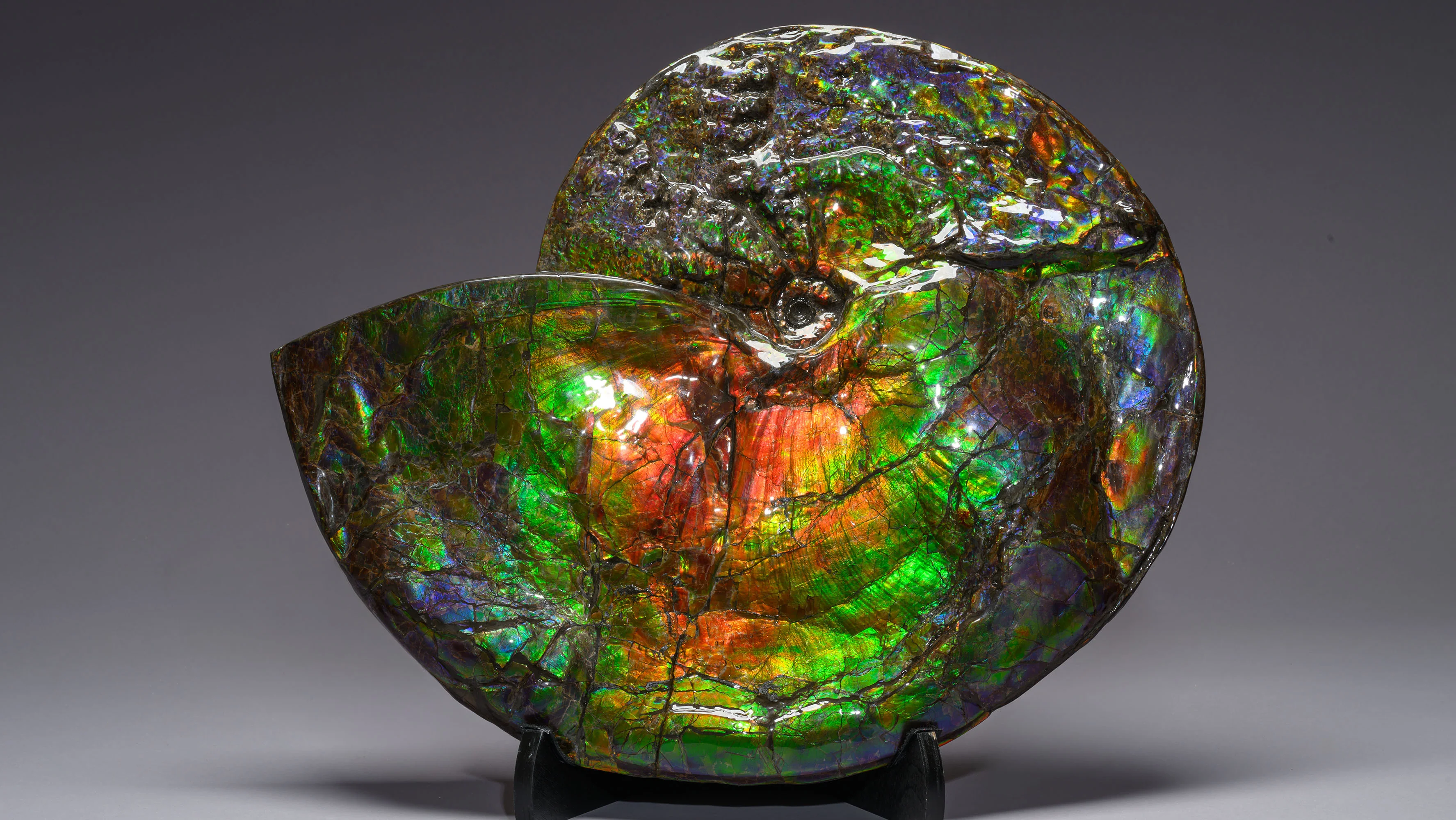 Welcome to Our Store